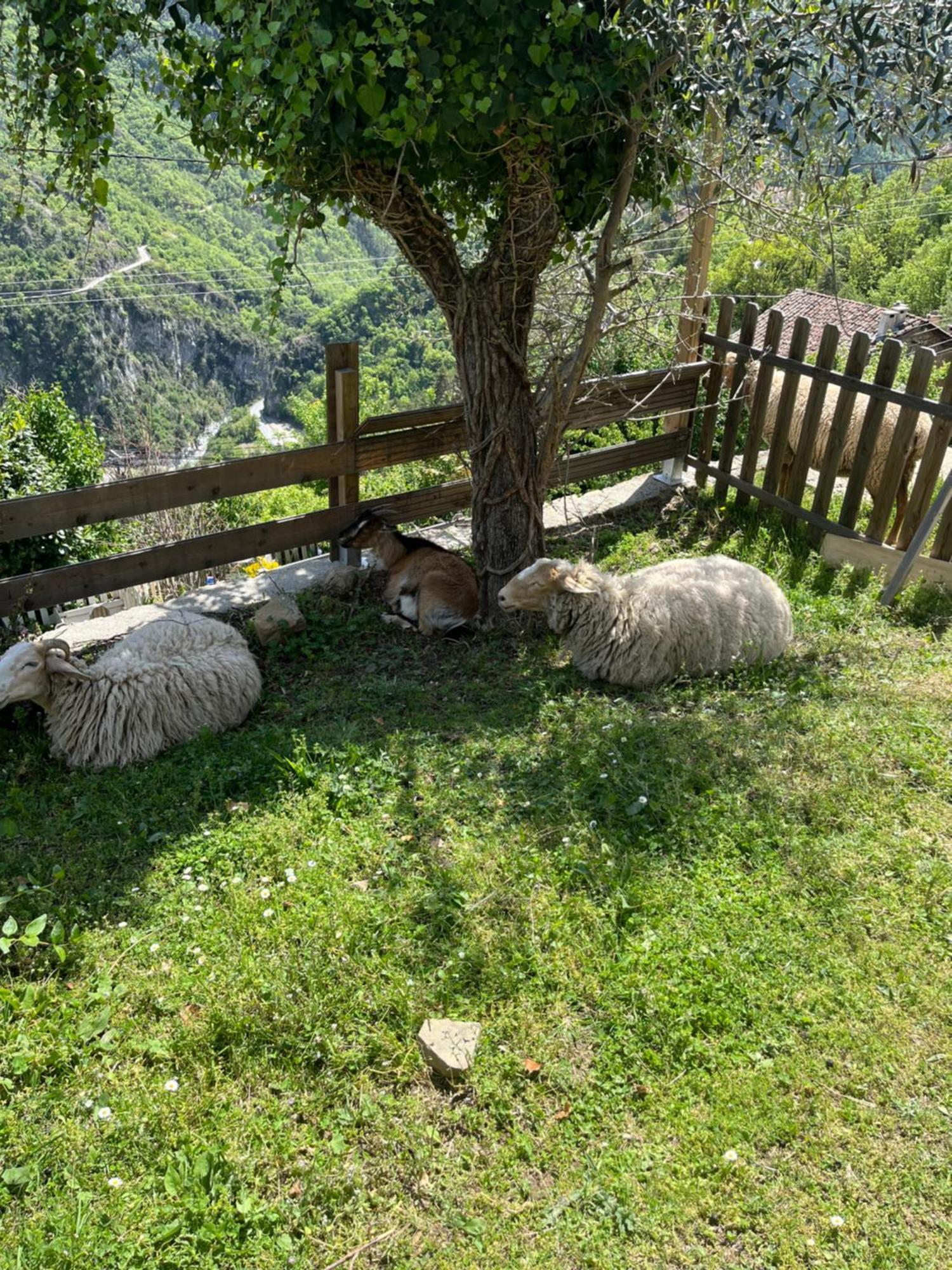Appartamento Bienvenue Chez Nous Lantosque Esterno foto